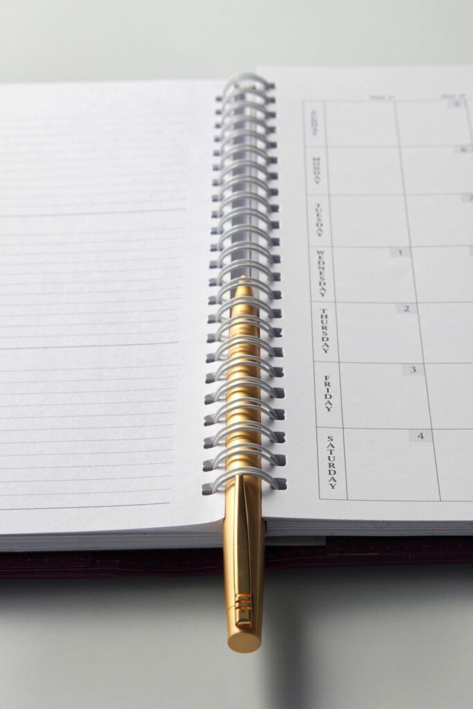 luxury calming journal black burgundy gold Roman font cursive accent wellness